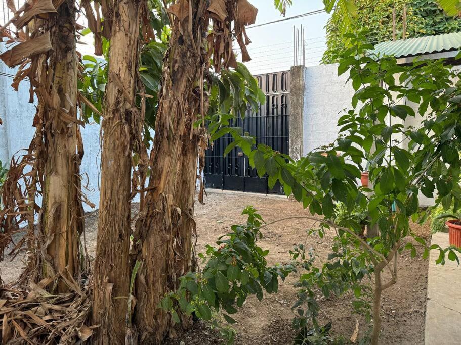 Casa Privada Con Terraza Villa Puerto Maldonado Exterior photo